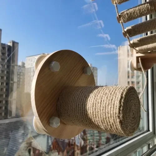 Cats Wall Scratchers Solid Wood Transparent Indoor DIY Scratching Post Spacecraft Springboard Cats Accessories Wooden Furniture