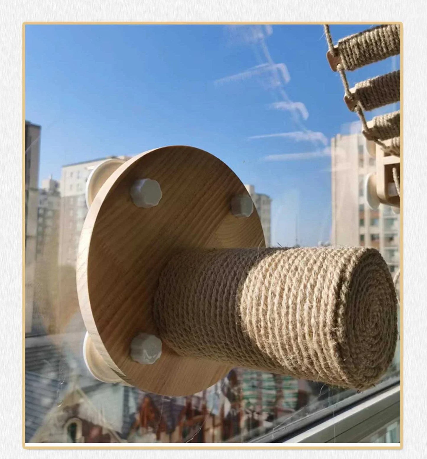 Cats Wall Scratchers Solid Wood Transparent Indoor DIY Scratching Post Spacecraft Springboard Cats Accessories Wooden Furniture