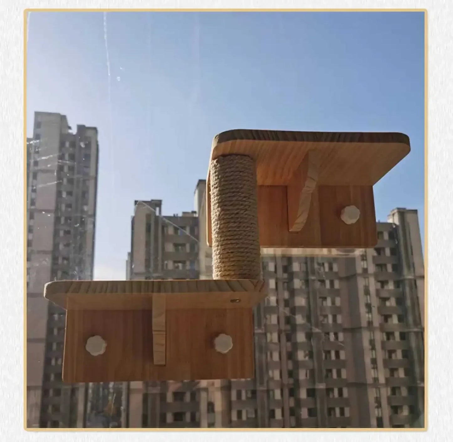 Cats Wall Scratchers Solid Wood Transparent Indoor DIY Scratching Post Spacecraft Springboard Cats Accessories Wooden Furniture