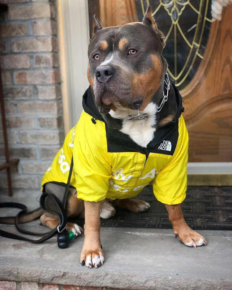 Dog Raincoat &  Windbreaker