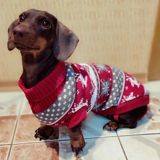 Cute Pet Dog Sweater for Small Dogs