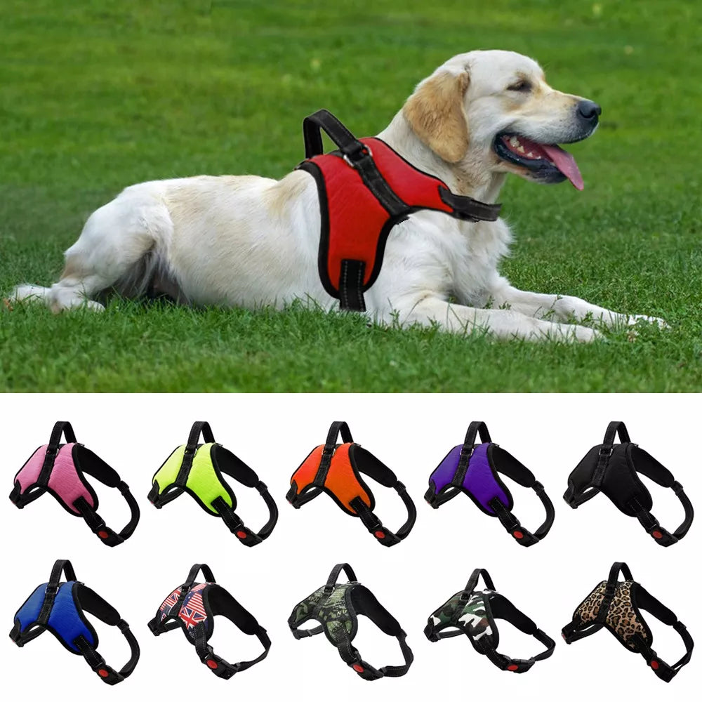 Pet Dog and Cat Adjustable Harness with Leash Reflective and Breathable for Small and Large Dog Harness Vest Pet Supplies