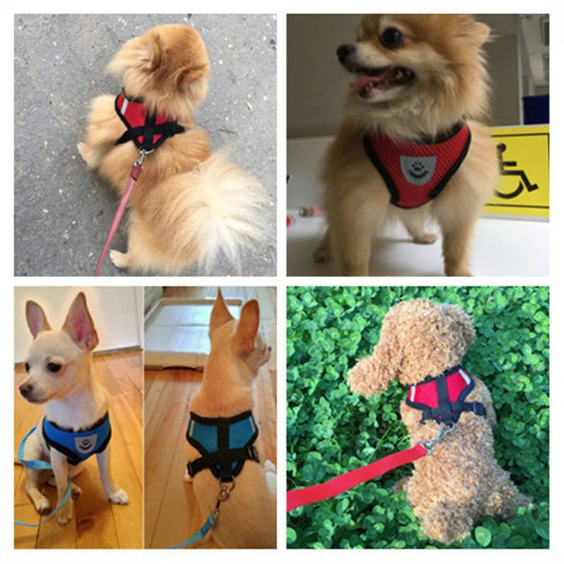 Dog Harness Walking Lead Leash For Small Dogs Collar Polyester Adjustable Mesh Puppy Cat Harness Vest For Medium Pet Accessories