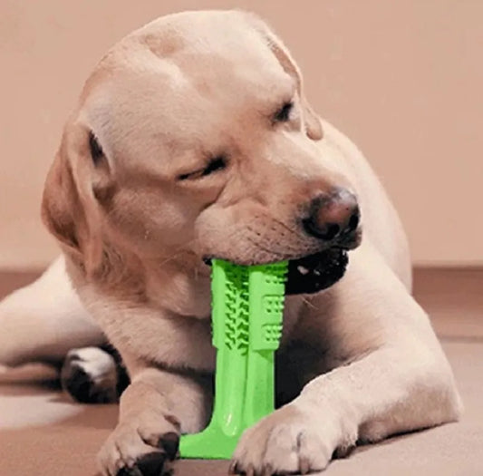 Dog Toys Interactive Rubber Pet Toys Chew Bite Cleaning Dog Tooth Brush For Small Puppy Large Dog Accessories Supplier Dropship