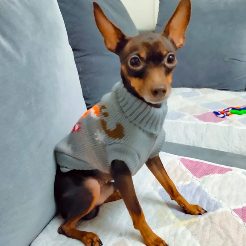 Cute Pet Dog Sweater for Small Dogs