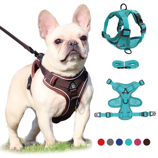 Dog Harness Leash Set Adjustable Pet Harness Vest For Small Large Dog Cat Reflective Mesh Puppy Cat Chest Strap Dog Accessories