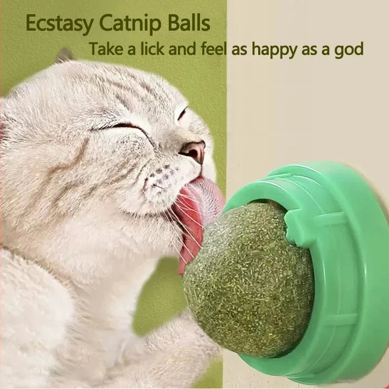 Natural Catnip Scratching Post for Cat Scrapers Cat Wall Sticker Ball Toy Scraper Cats Pet Products Therapeutic Healthy Toys Hom