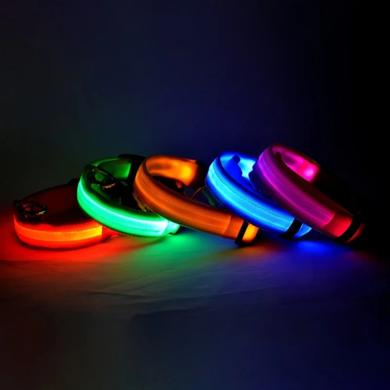 Nylon LED Night Safety Flashing Glow In The Dark Dog Leash Dogs Luminous Fluorescent Pet Dog Collar