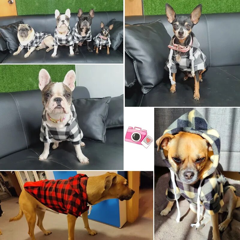 Dog Soft Wool Hoodies