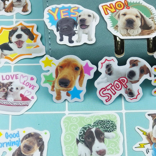 40pcs Pet Dog Holiday Party Sticker Mobile Phone Cup Laptop Skateboard Cute Pet Sticker