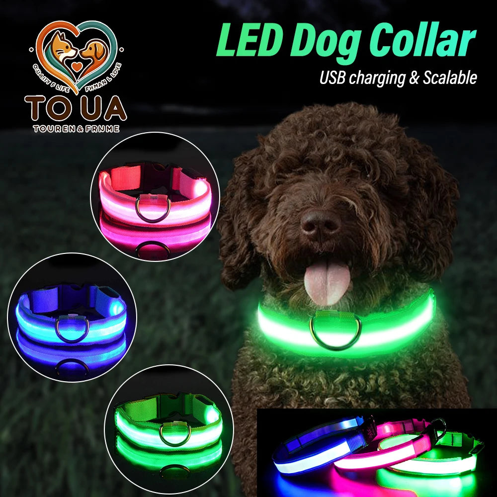 TOUA Choice XS/M Dog Collar USB Rechargeable Light Up LED Collar Lights Adjustable Soft Safety Night Light Flashing Pet Supplies