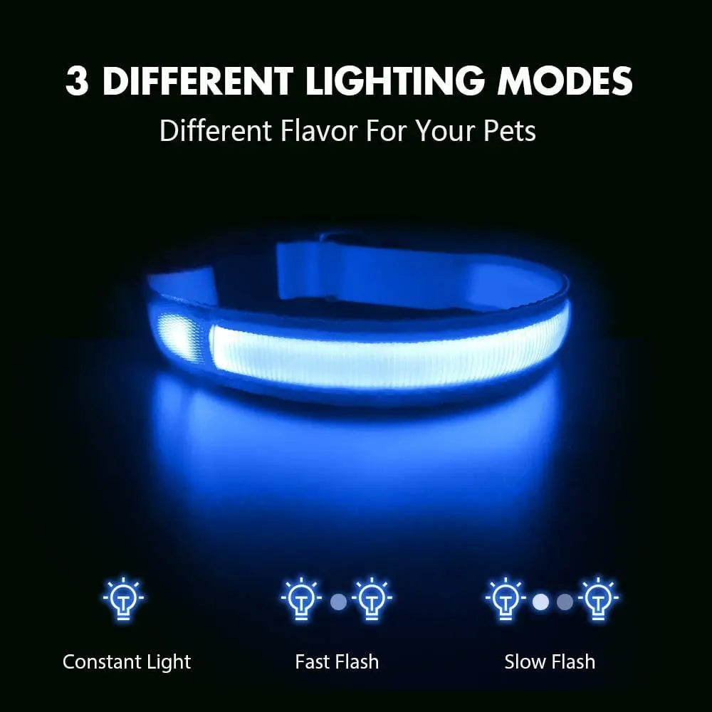 TOUA Choice XS/M Dog Collar USB Rechargeable Light Up LED Collar Lights Adjustable Soft Safety Night Light Flashing Pet Supplies