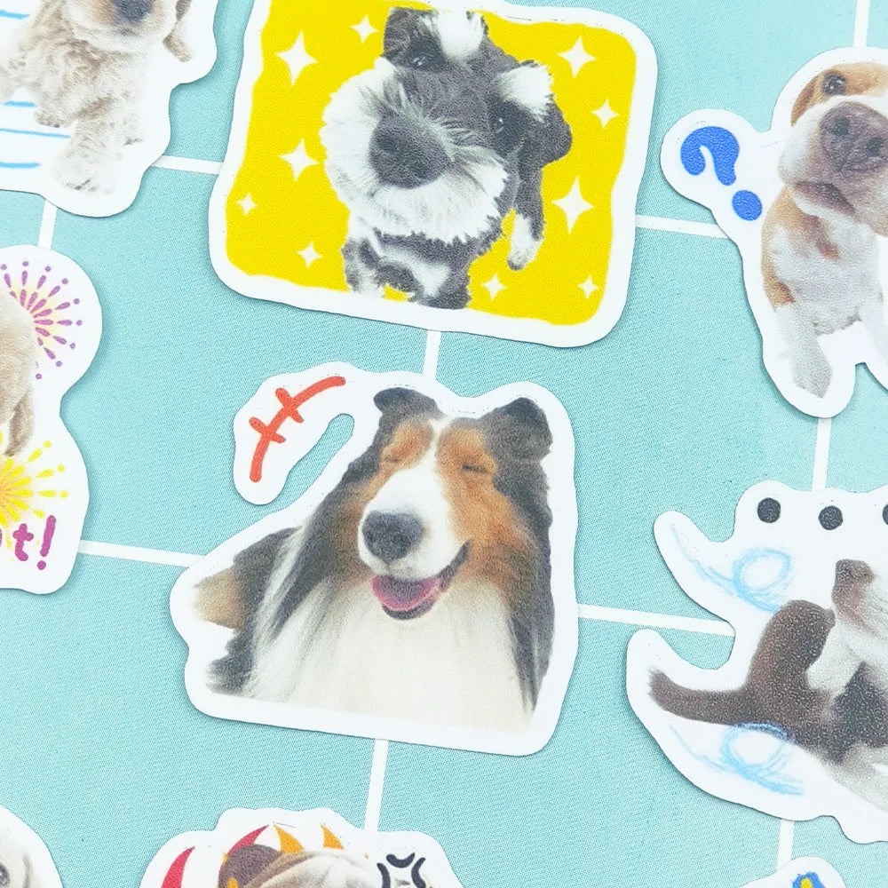 40pcs Pet Dog Holiday Party Sticker Mobile Phone Cup Laptop Skateboard Cute Pet Sticker