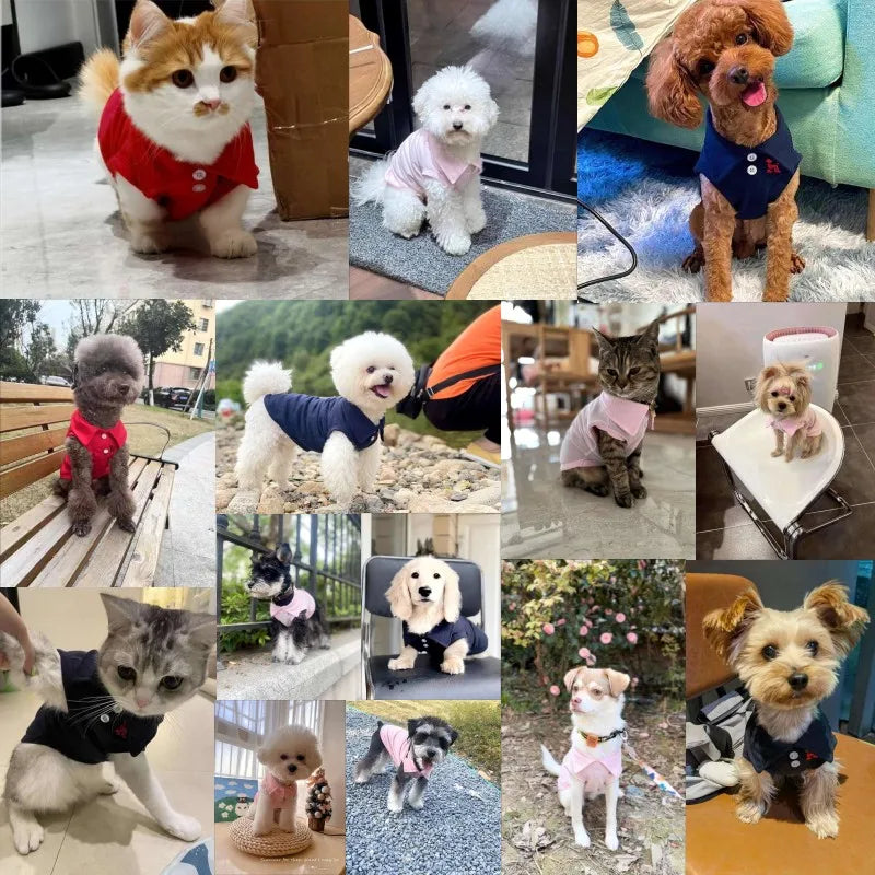 Fashion Dog Clothes Summer Dog Thin Shirt Cute Puppy Vest Soft Pet Cat Shirt Breathable Dog Vest Chihuahua Clothes Pet Cat Vest