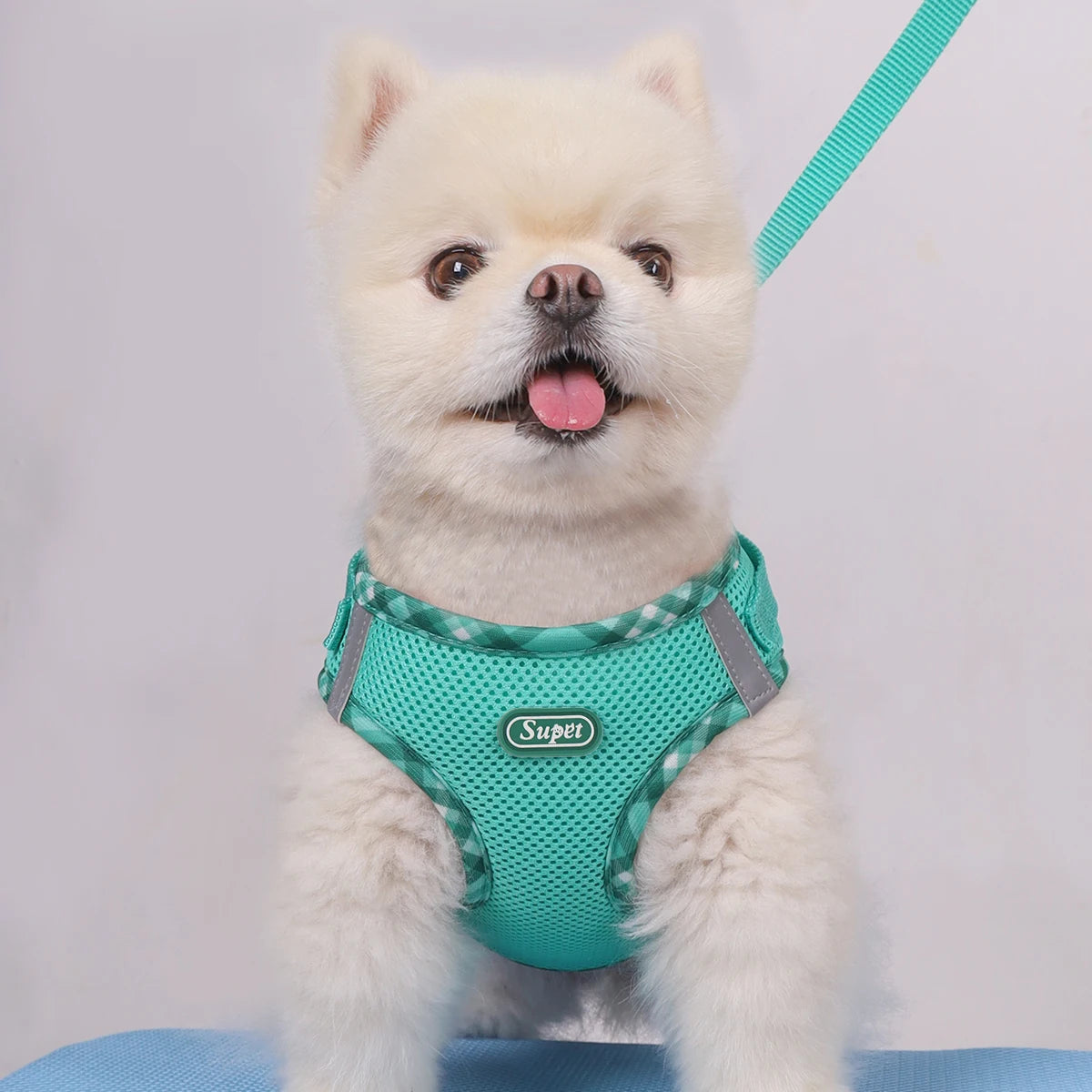 1pc Dog Harness, Anti-Pull, Pet Harness, Adjustable, Easy to Control, Suitable for Small, Medium Dogs